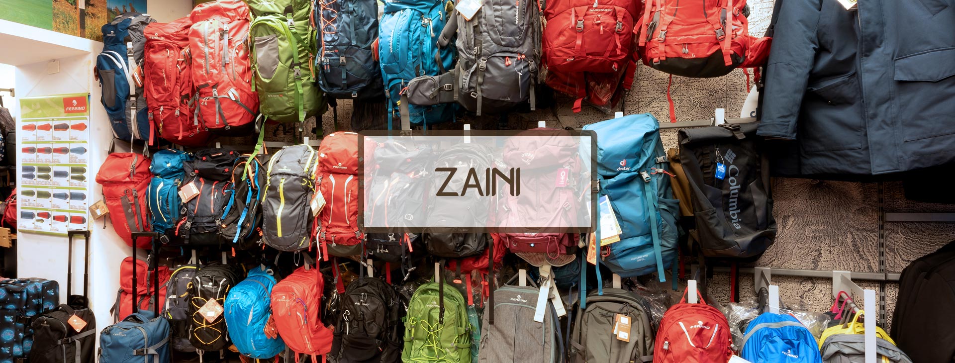 Zaini